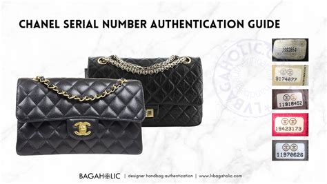 borsa chanel lost|Chanel handbag serial number lookup.